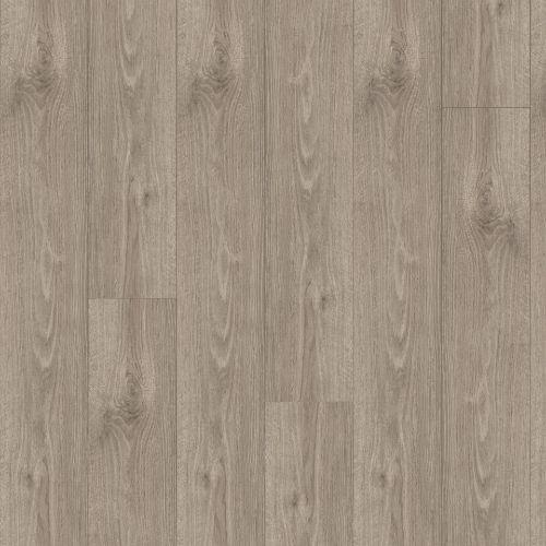 Tinsel Oak
