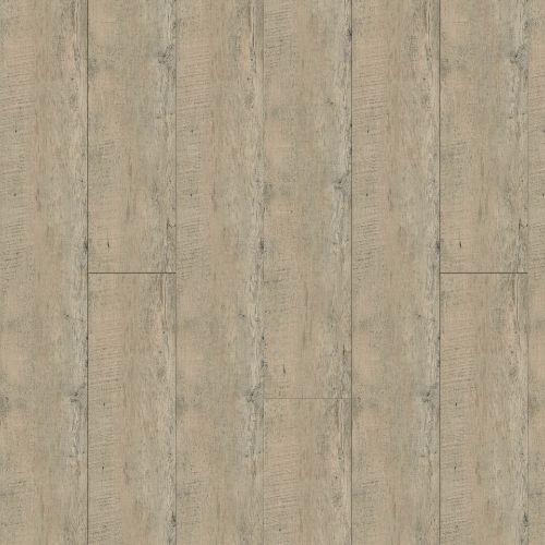 Sailboat Birch