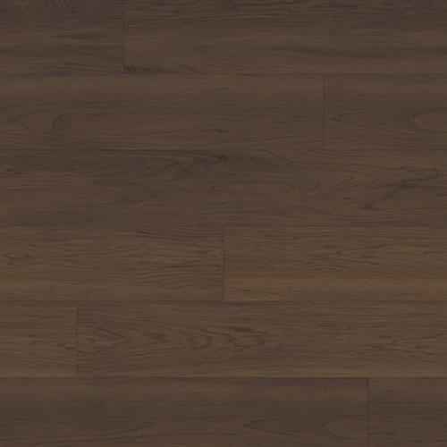 Timeless Endurance - Maple Bark