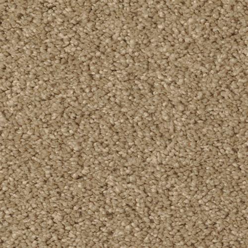 Classic Taupe