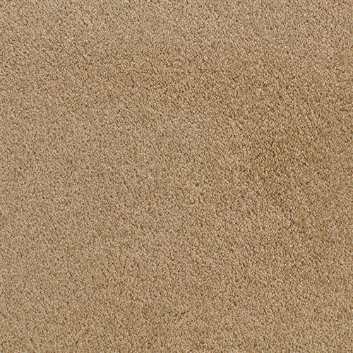 Fabrica Denali Cognac Carpet Dayton, Ohio Bockrath Flooring & Rugs