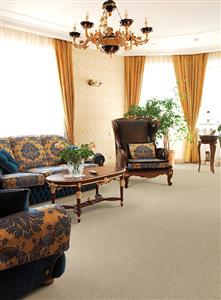 Fabrica Denali Ivy Cottage Carpet Lubbock Texas Yates Flooring