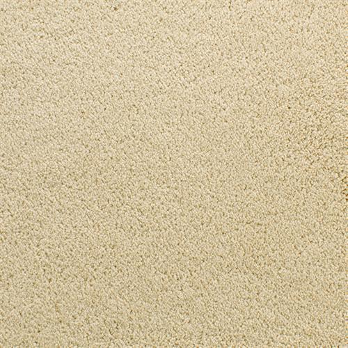 Dry Chamois