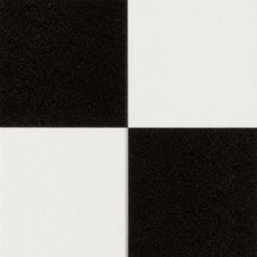 Checkpoint - Black & White
