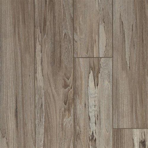 Spalted Wych Elm-Soil