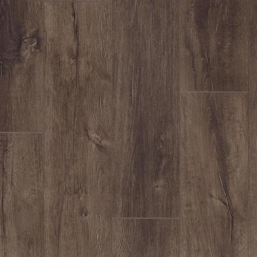 ProductVariant swatch small for Aspen Bark flooring product