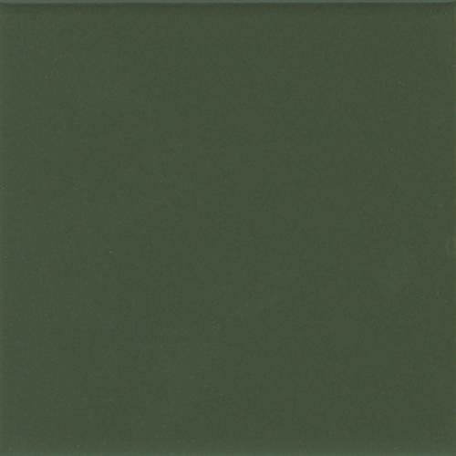 Matte Dill Pickle (2)