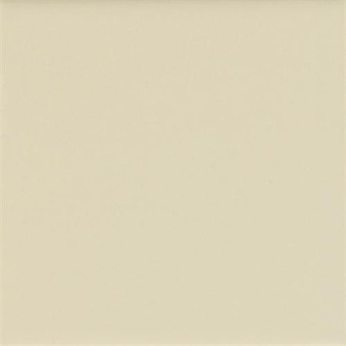 Matte Matte Sand Dollar 1 0067