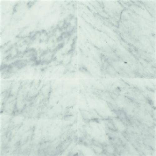Marble And Onyx Collection Carrara White C M701