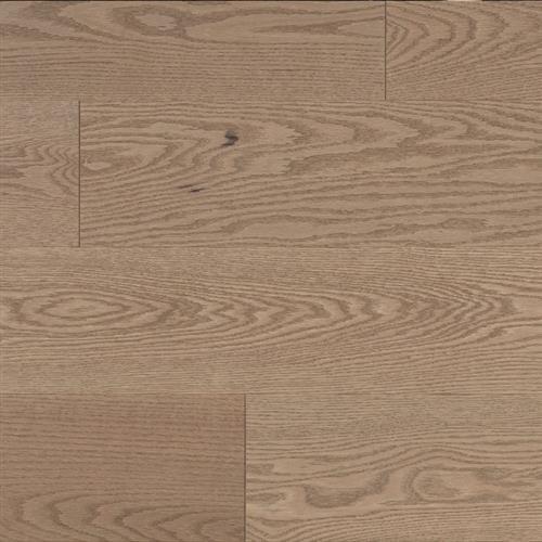 rio Brushed - 6"