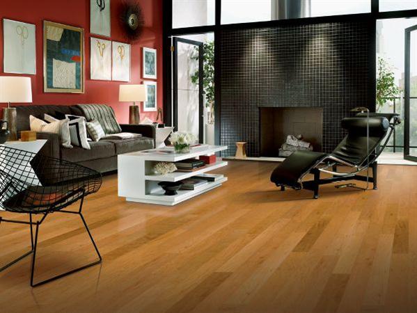 Room Scene of Performance Plus - Hardwood by Armstrong