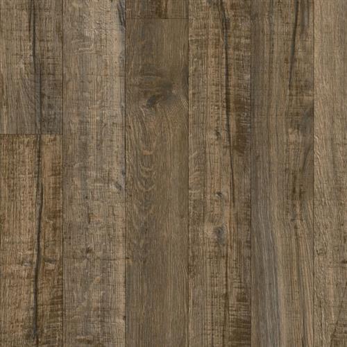 Billy Bandsaw - Coyote Coat