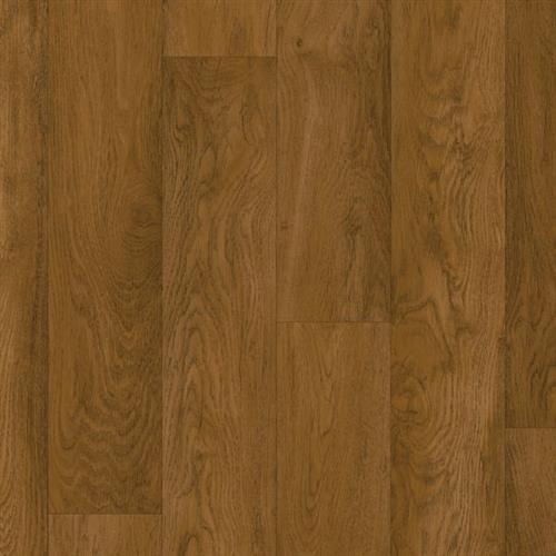 Chickasaw Oak - Autumn Glory