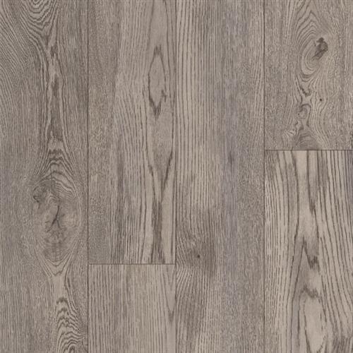 Kingsville Oak - Silver Chalice