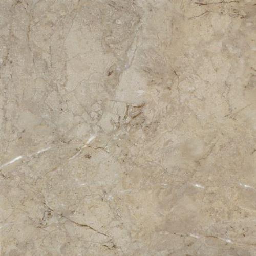 Alterna in La Plata Taupe/gray - Vinyl by Armstrong