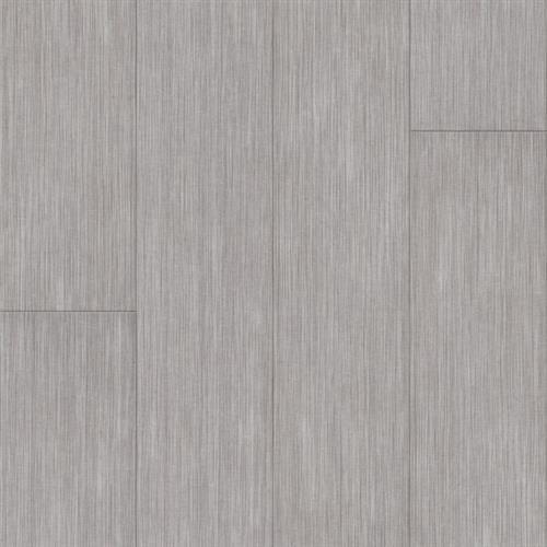 Parallel 12 Silver Sur