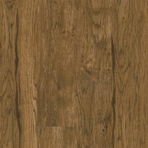 Hickory Point - Roasted Pecan