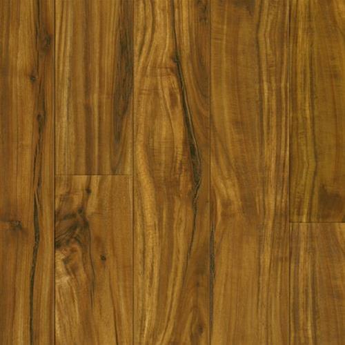 Native Acacia - Golden