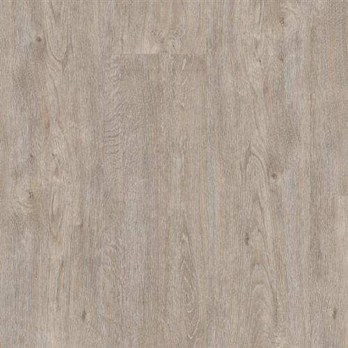 Mohawk Industries Stunning Nature Noveaux Taupe Carpet Waltham Ma Mal Elfman S Of Waltham Inc