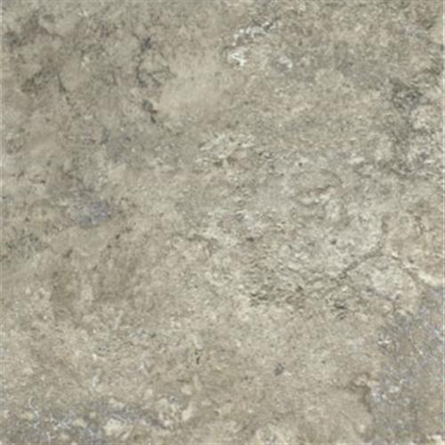 Alterna in Tuscan Path Dove Gray - Vinyl by Armstrong