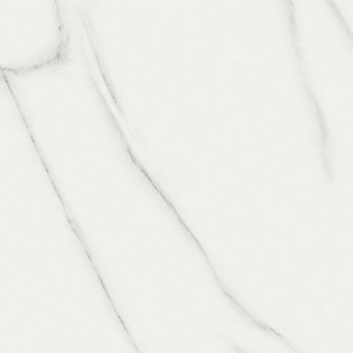 Carrara - 12X24 Matte