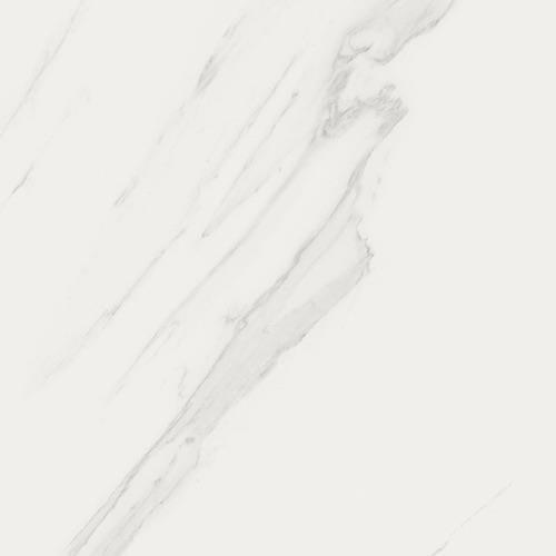 Carrara - 24X24 Matte