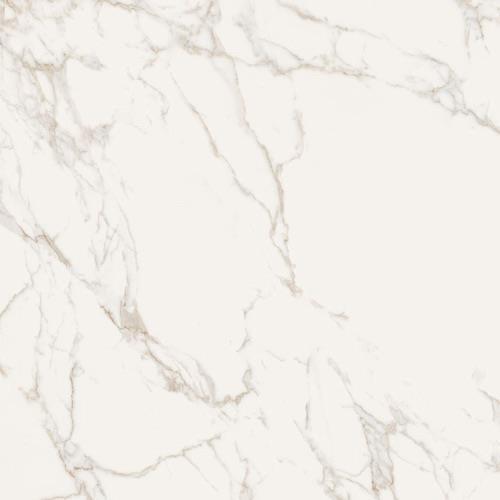 Statuario Gold - 24X24 Matte