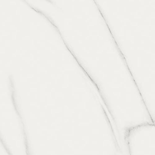Carrara - 16X32 Polished