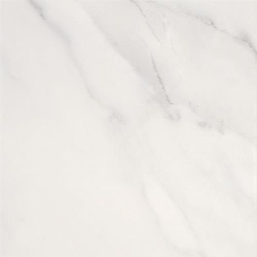 Sublime Brillo - 12X24