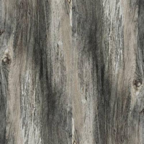 Midnight Natural - 8x47