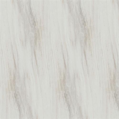 Kiwi Bianco - 6X24