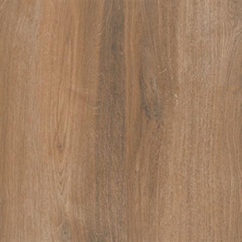 Northwind Brown - 9X36