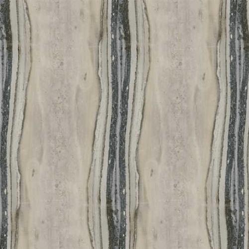Exotic Stone Fossil Natural - 12X24
