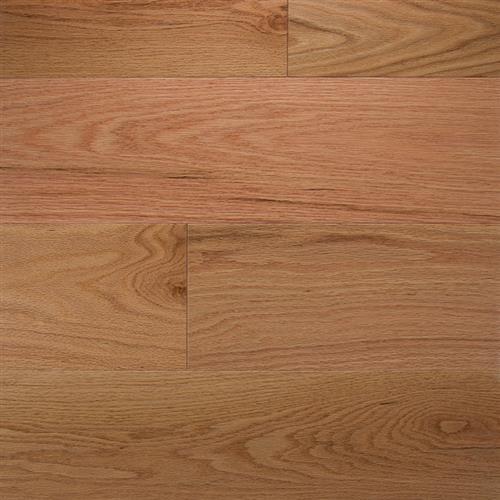 Natural Red Oak - 6