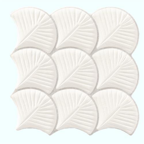 Scale Shell White