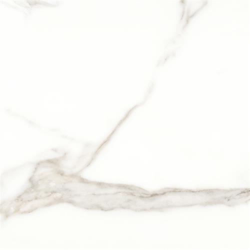 Tesoro Mayfair Calacatta 12x24 Matte Tile Saint Augustine Port