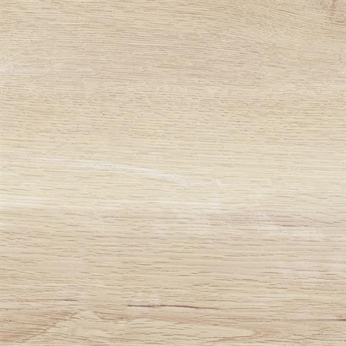 Acadia Maple