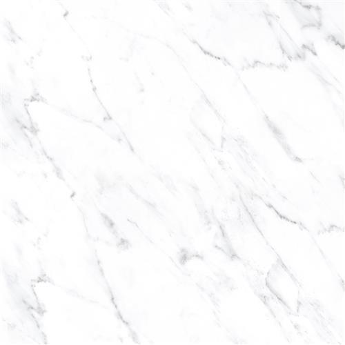 Room Scene of Calcatta White - Tile by Tesoro