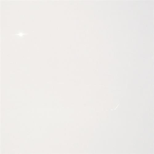 Room Scene of Neutra Super White - Tile by Tesoro