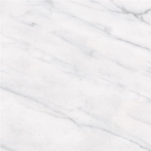 Carrara 3x6