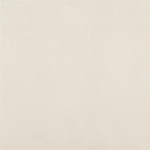 Snow - 24X48