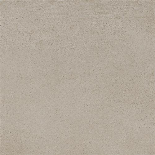 Tortora - 24X48