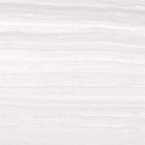 Snow - 12x24