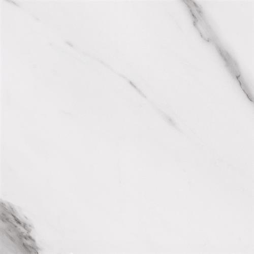Bianco Carrara - 24x24