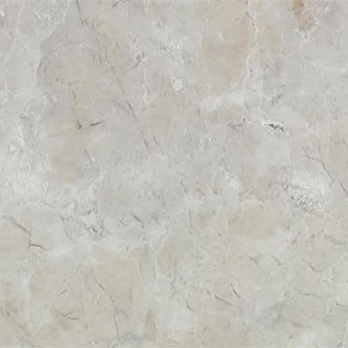 Brushed 12x24