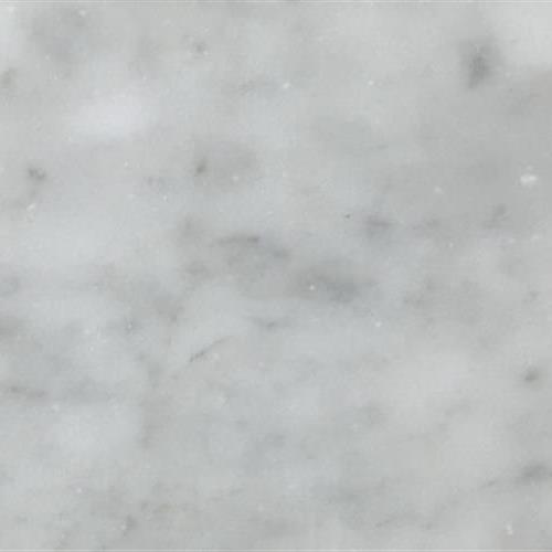 White Cararra Honed Tile