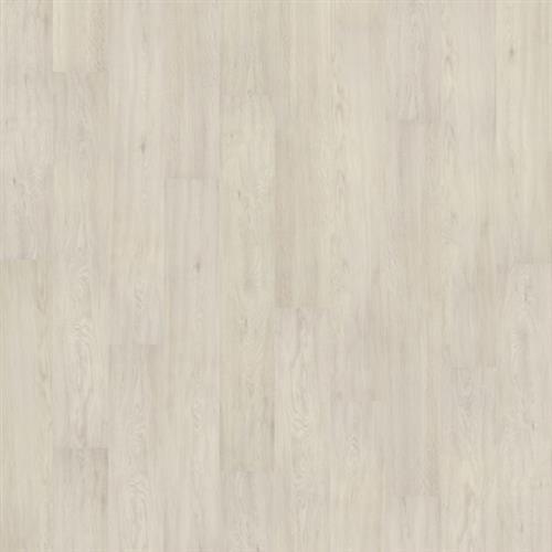 Ecolux Plus Cool White