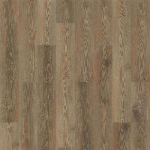 Warm Elm