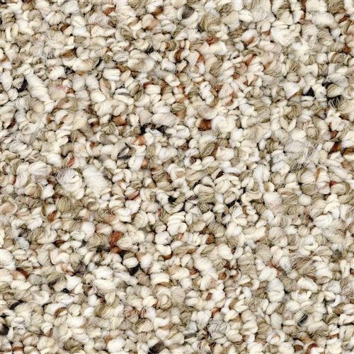 The Flooring Network Dixville Ancient Carpet - Wilmot, New Hampshire