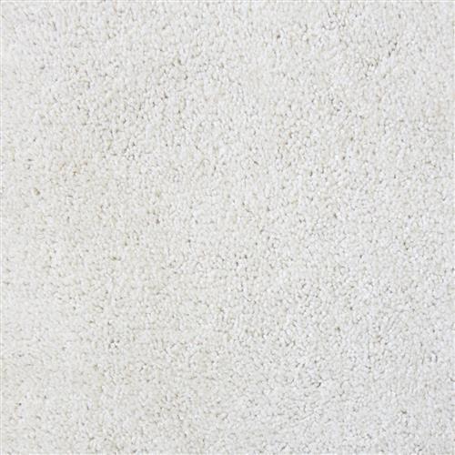 Event Carpet - In Stock by Don Bailey Flooring - Snow Bunny